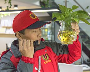 信（xìn）譽和品質保證