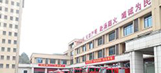 南（nán）岸迎龍消防支隊