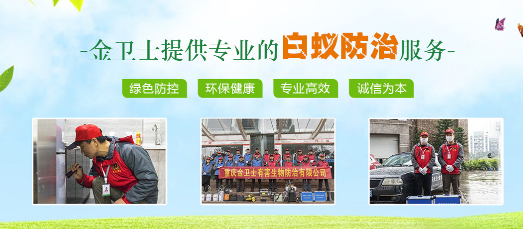 防蚊（wén）滅蚊小知識