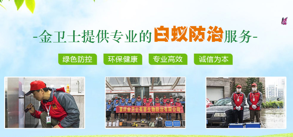家庭有效預（yù）防白蟻的方法