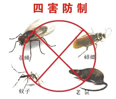 床墊易滋生吸血（xuè）臭蟲，怎樣預防呢（ne）？