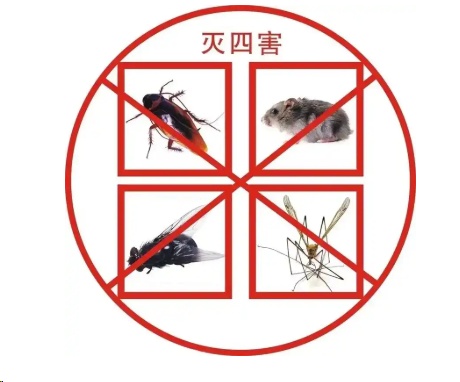 專業殺蟲除四害——守（shǒu）護健康生活的防線（xiàn）